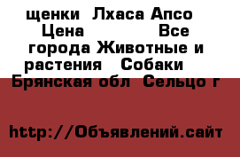 щенки  Лхаса Апсо › Цена ­ 20 000 - Все города Животные и растения » Собаки   . Брянская обл.,Сельцо г.